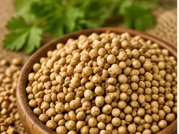 Coriander seeds in a wooden bowl with coriander leaves